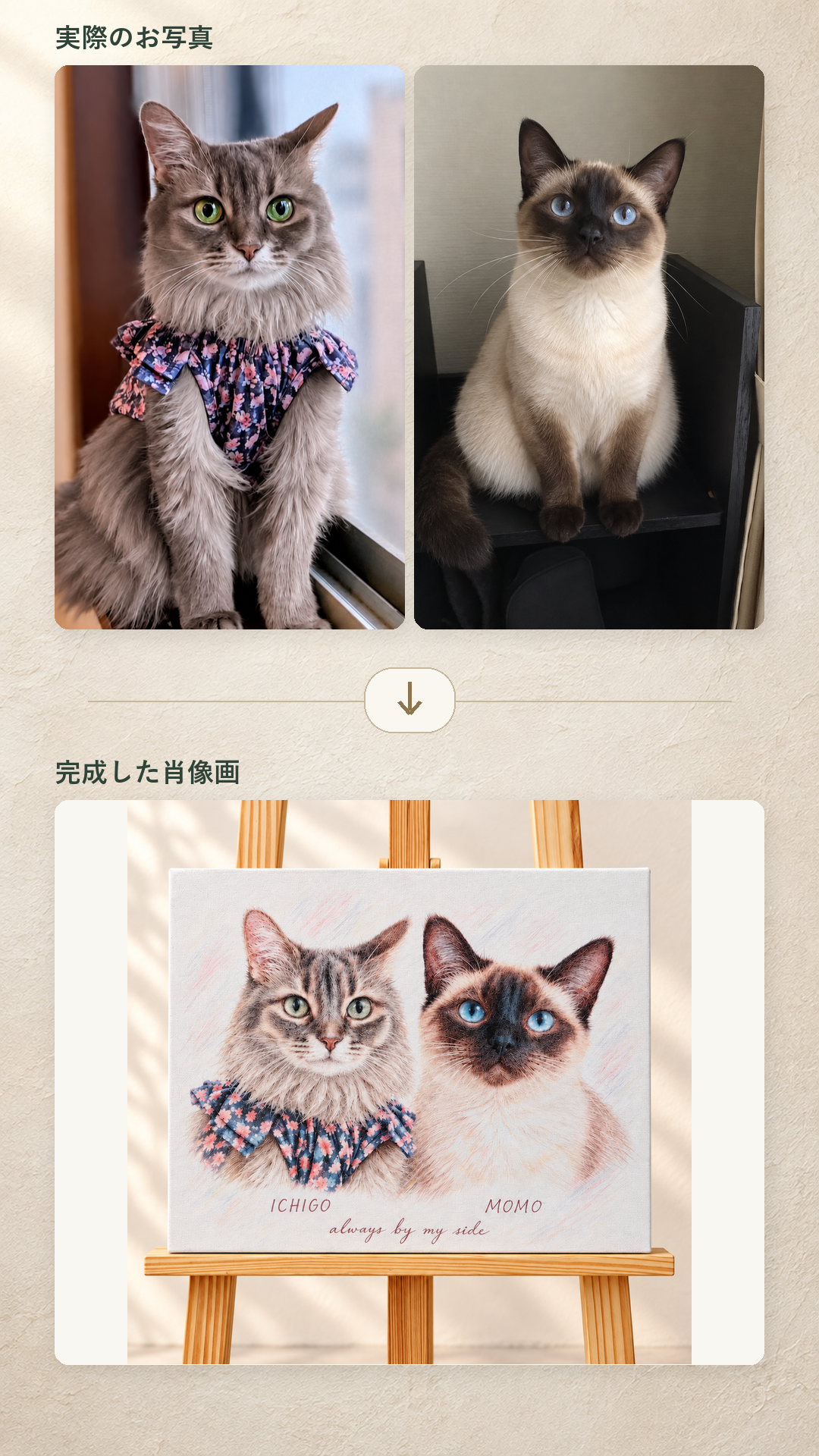 猫2匹の写真とF6横キャンバス肖像画の制作例