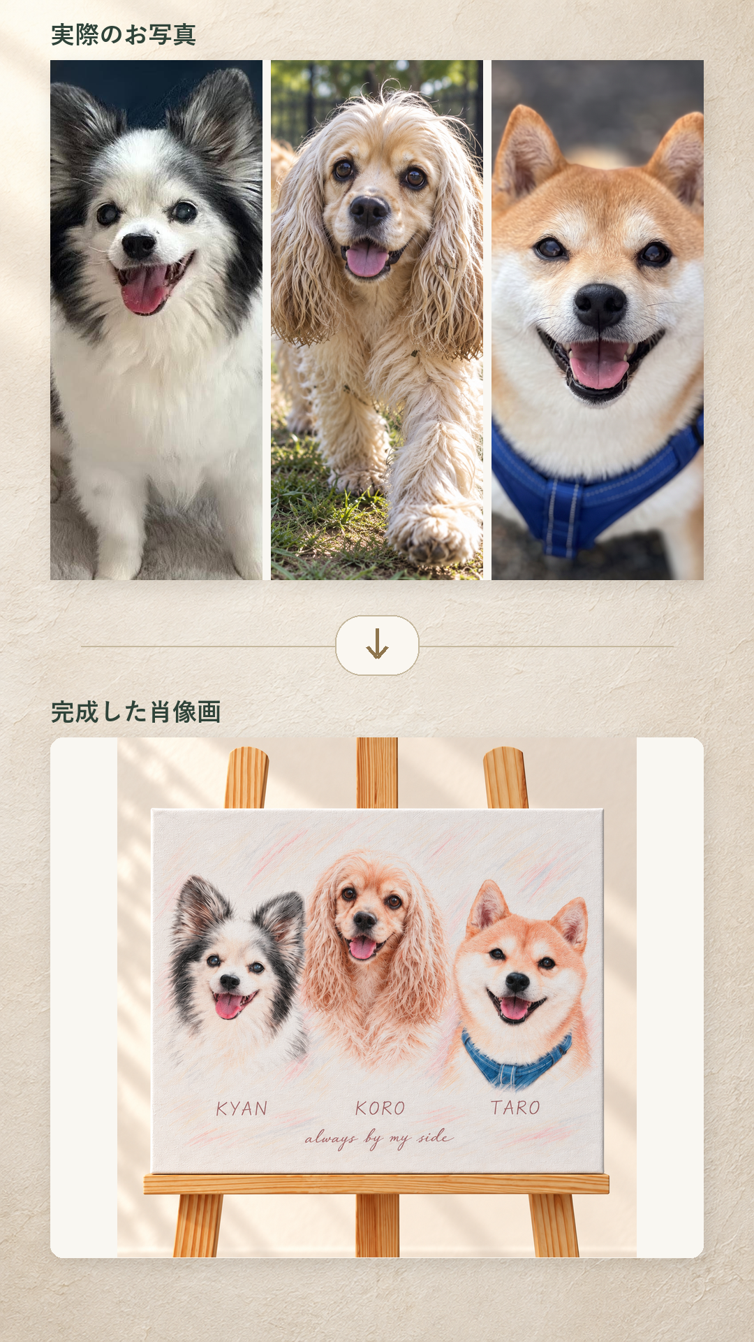 犬3匹の写真とF8横キャンバス肖像画の制作例