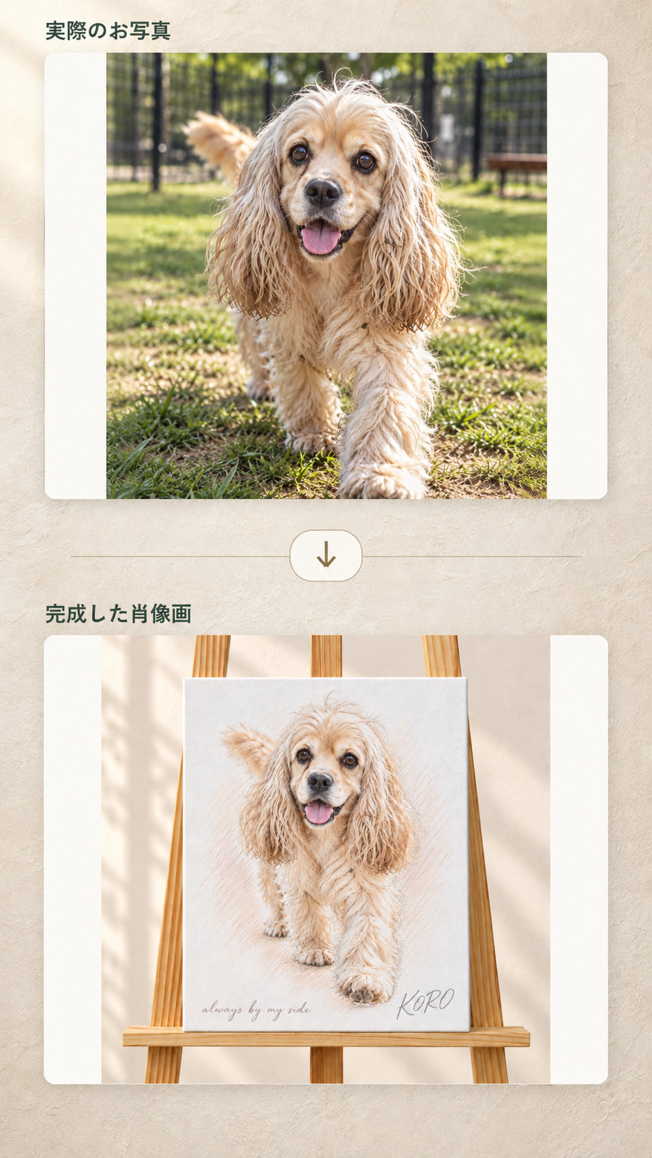 制作に使用したKOROの全身写真