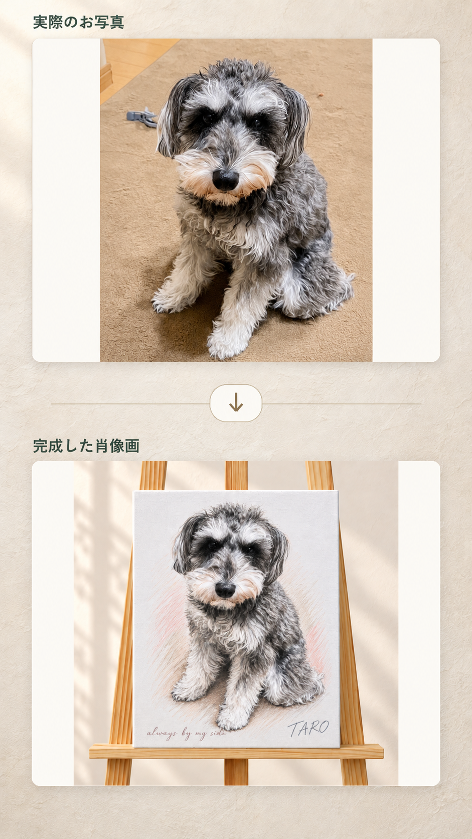 制作に使用したTAROの全身写真